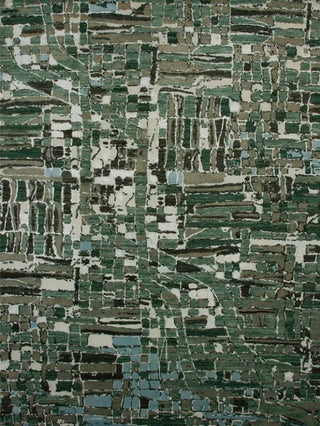 Farm Plots Aerial