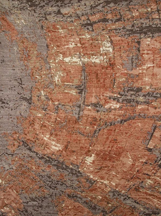 Petrified Tree Rings