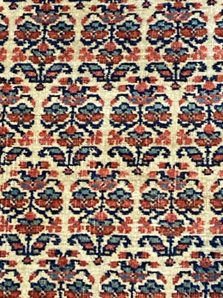 Kurd Bidjar Runner. 3'5''x16'2''